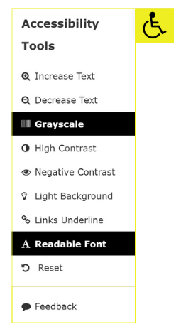 Accessibility Multi Option